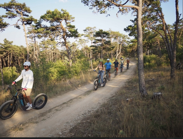  Disfrute de un scooter eléctrico para Castellane 