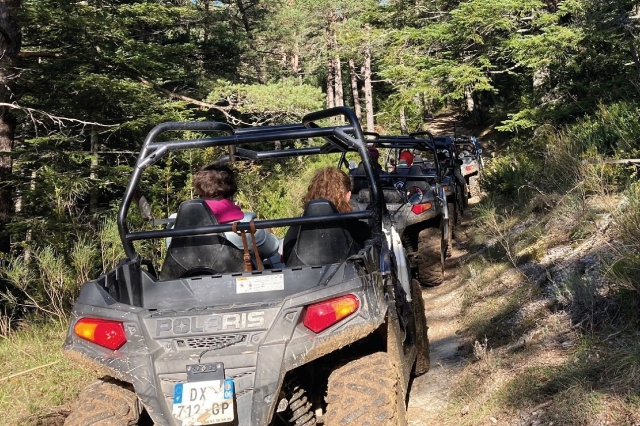  Cross the Forest in Buggy -9999 - Die Flotte von Fahrzeugen 