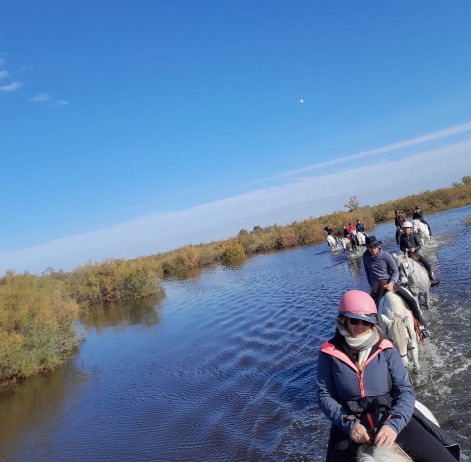  Prenota il tuo cavallo in Camargue