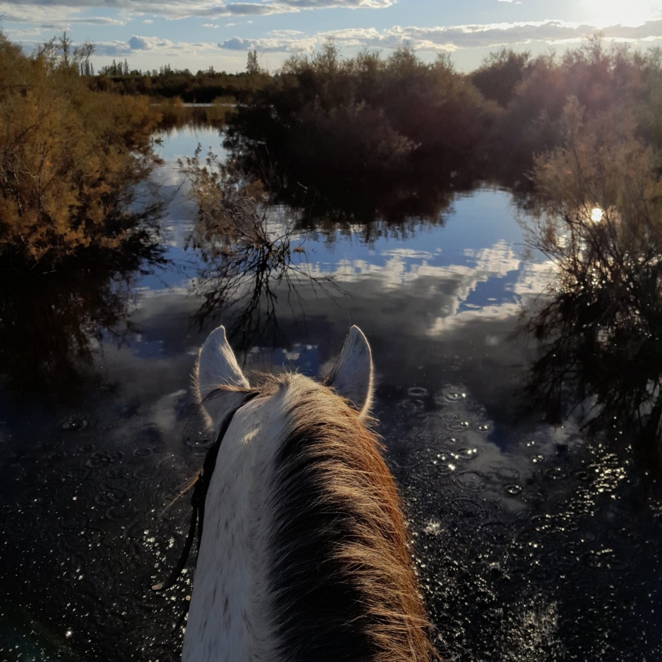 Opta per una straordinaria avventura equestre Opta per una straordinaria avventura equestre