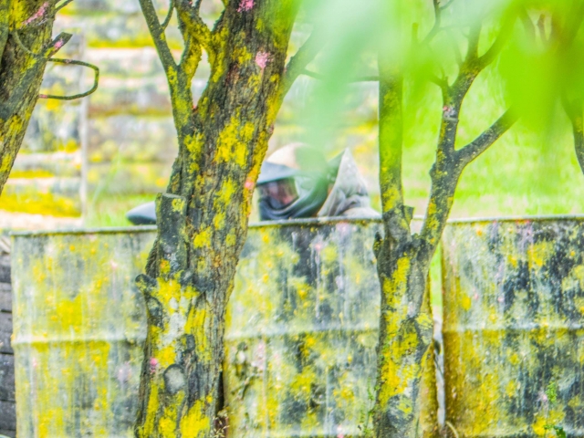  Paintball en el aire libre del Ardèche 