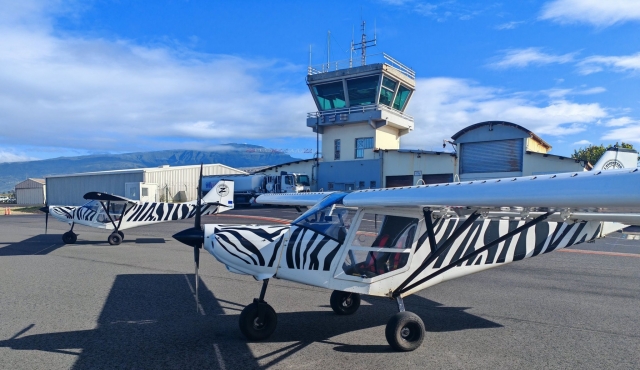 p-90806-493213579-1254281966697056-7668601742568730502-n1759414749_17594185893453.jpg