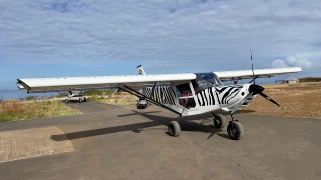 Ein Flugzeug-Zebra, der bereit ist, 