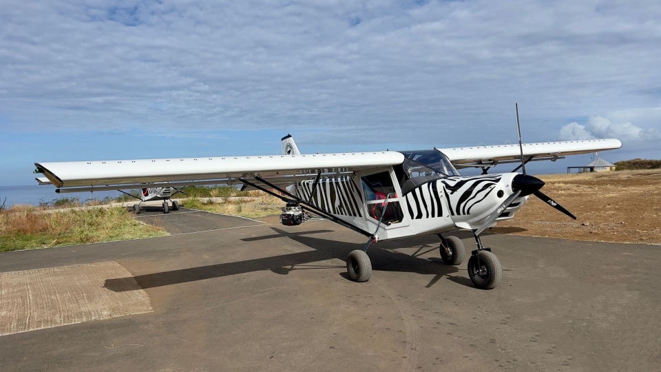 Ein Flugzeug-Zebra, der bereit ist, Ein Flugzeug-Zebra, der bereit ist,