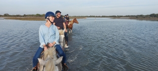 Balade à cheval en Camargue - 1h