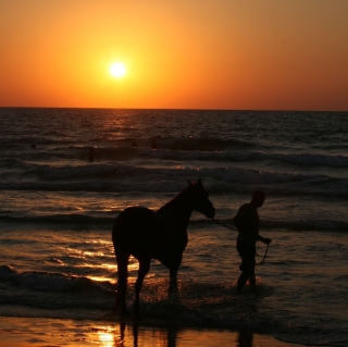 Balade à cheval Crépuscule + apéritif -Camargue-1h