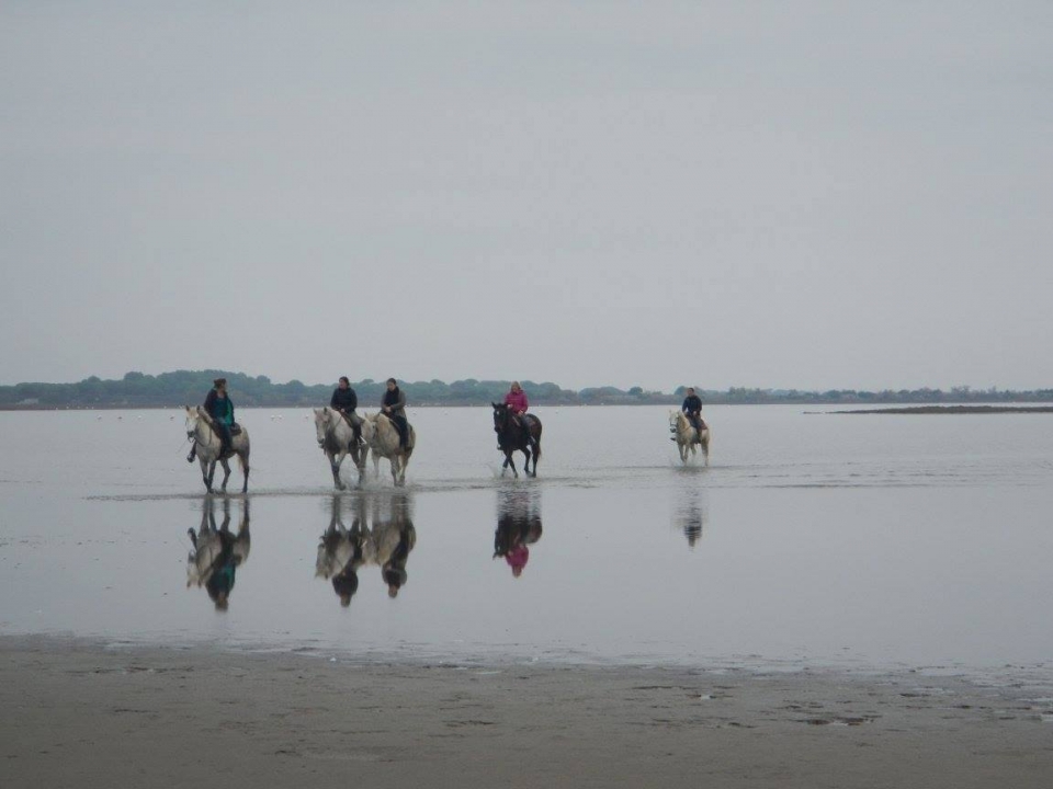 Profitez d'une aventure équestre en Camargue Profitez d'une aventure équestre en Camargue