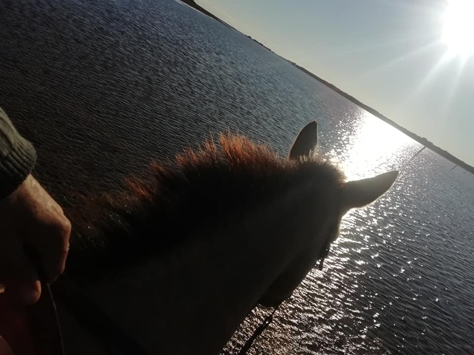 Une balade à cheval unique à Saintes-Maries-de-la-Mer Une balade à cheval unique à Saintes-Maries-de-la-Mer