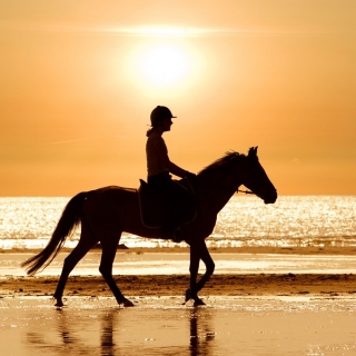 Balade à cheval Crépuscule+apéritif - Camargue-2h