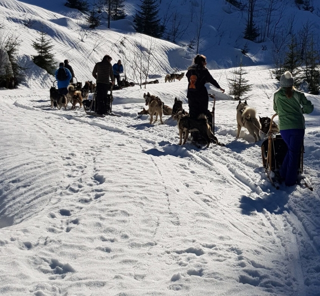  Der Schnee der Alpen erwartet Sie