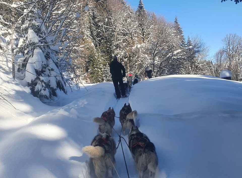 Bereisen Sie die verschneiten Pfade im Roc d'Enfer-Massiv Bereisen Sie die verschneiten Pfade im Roc d'Enfer-Massiv