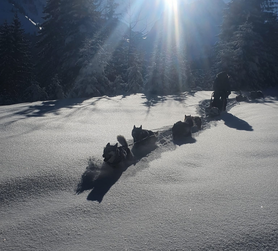 Genießen Sie die Alpenlandschaften Genießen Sie die Alpenlandschaften