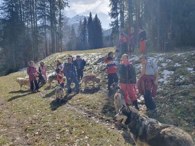Profitez d'un moment unique avec les chiens 