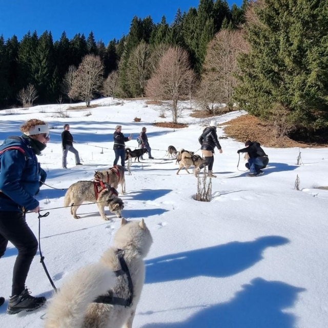 Cani-Wanderung im Roc d’Enfer-Massiv – 2 Stunden