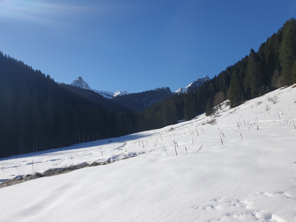 I paesaggi invernali di Bellevaux I paesaggi invernali di Bellevaux
