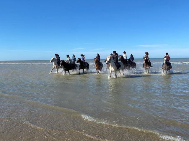 Meet the waves of the ocean on horseback