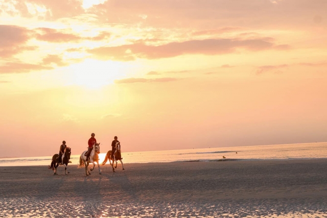 A unique setting for a unique activity in Calvados