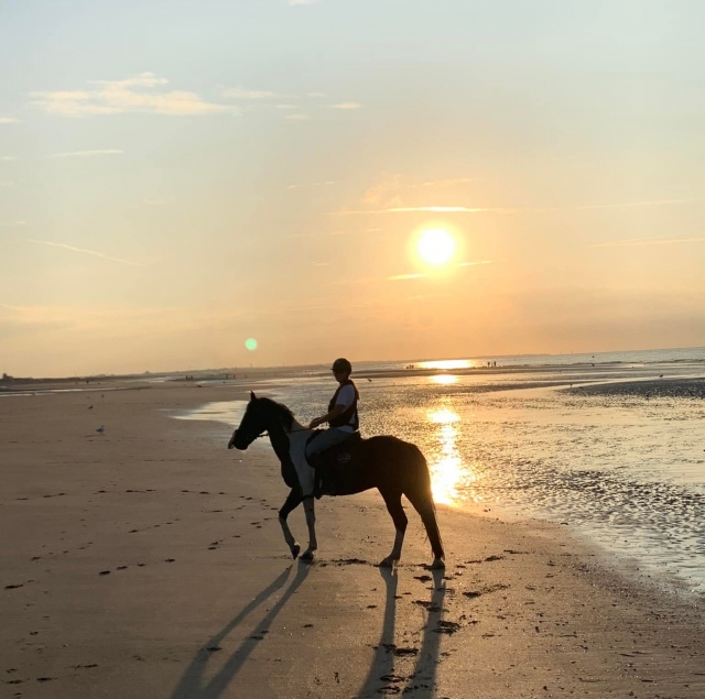 Horseback riding on the beach in Cabourg