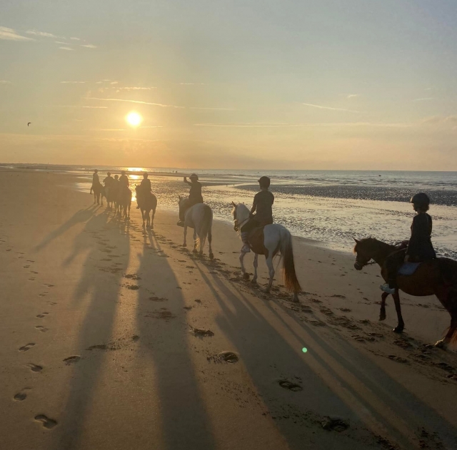 Book a one-hour horseback riding trip on the beach