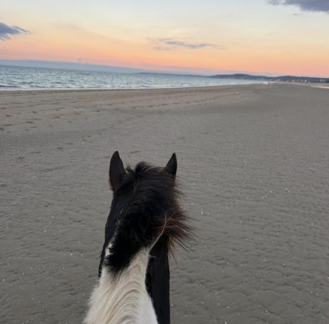 Unique moment on horseback in Normandy