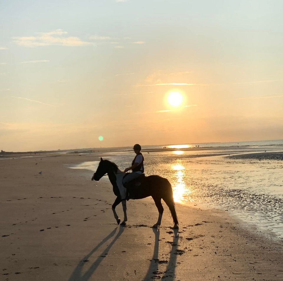 Horseback riding on the beach in Cabourg   Horseback riding on the beach in Cabourg