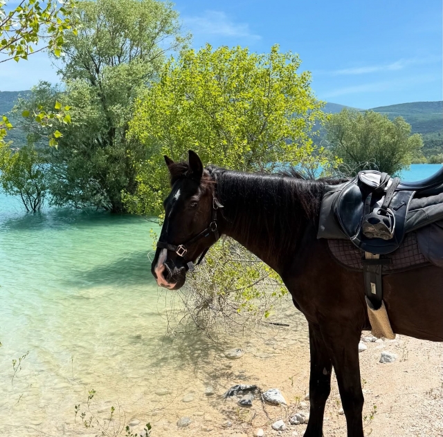 在美丽的湖畔骑马