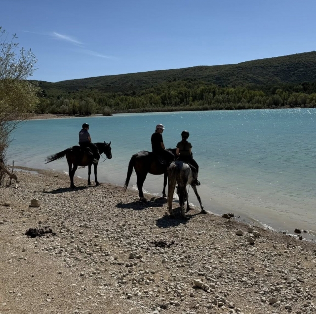 在普罗旺斯体验马术活动的美好时刻