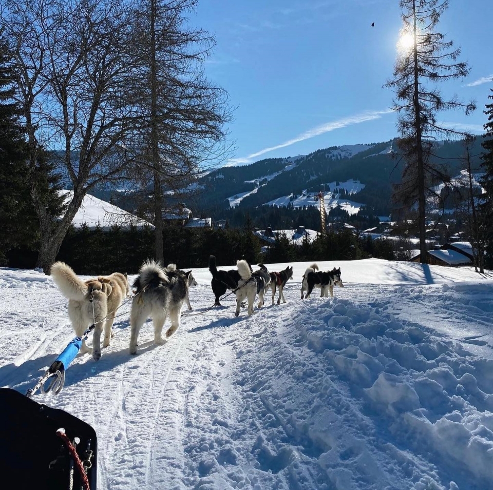 Mushing em Haute-Savoie 