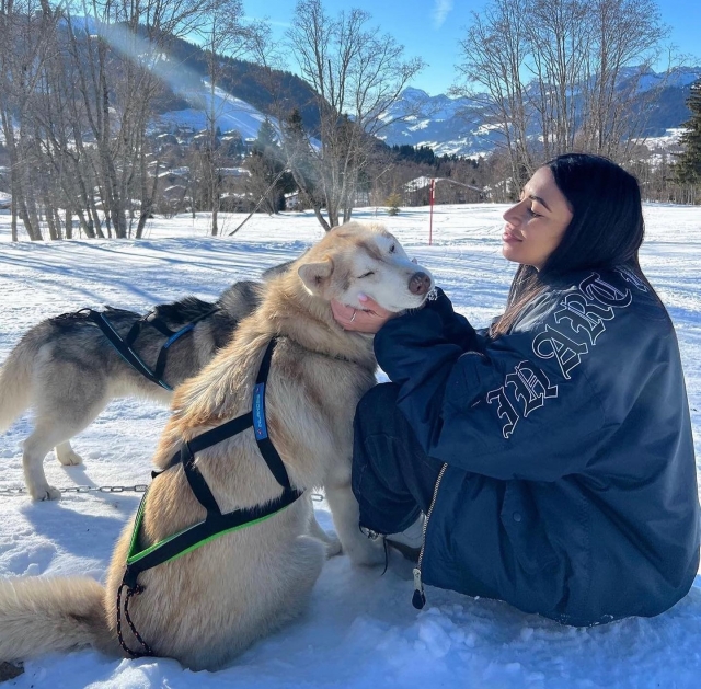  Passe um dia maravilhoso na companhia dos nossos cães nórdicos