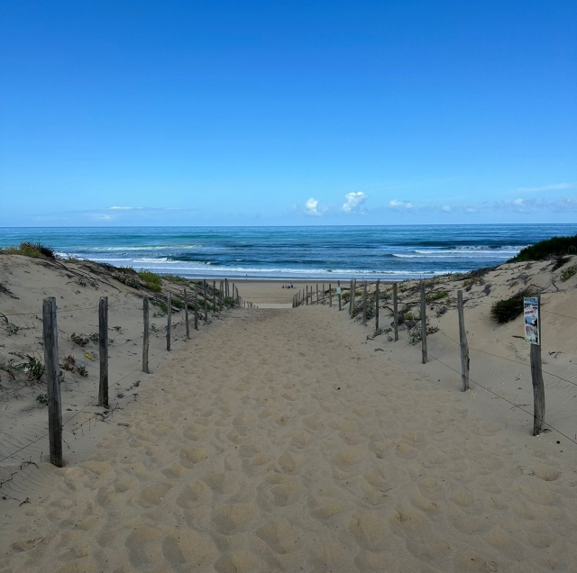 Der Strand von Penon erwartet Sie für eine erste Erfahrung im Surfen
