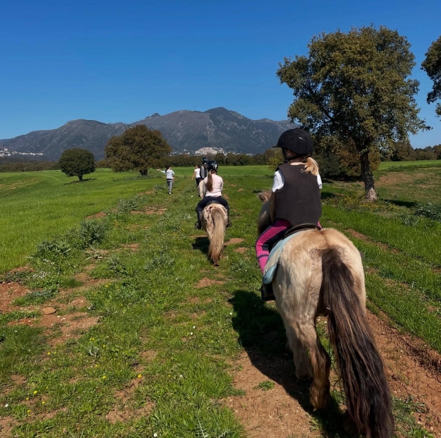Passeggiate a cavallo in montagna - San Giuliano - 1h