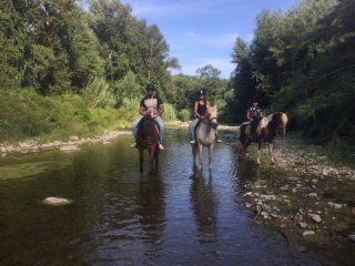 Passeggiata a cavallo sul fiume - San Giuliano - 1h30