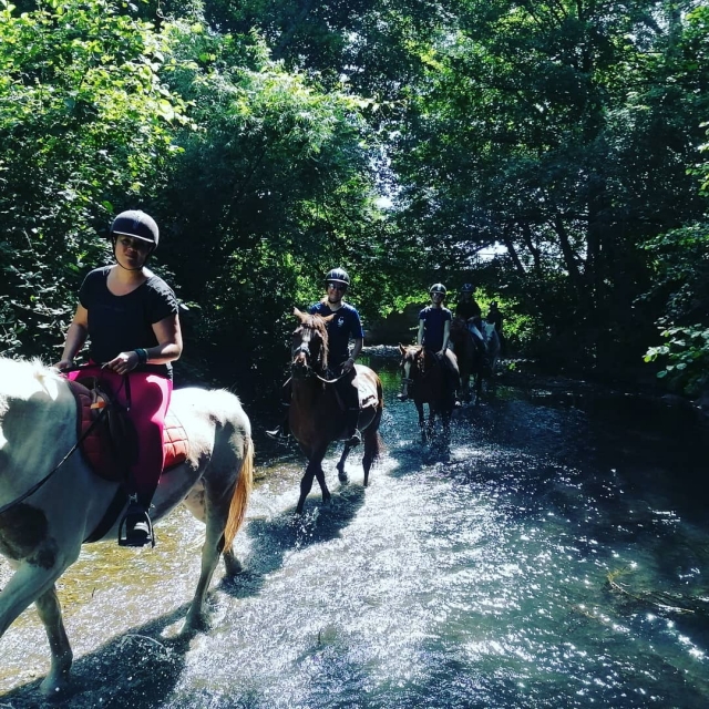 Una passeggiata a cavallo sul fiume 