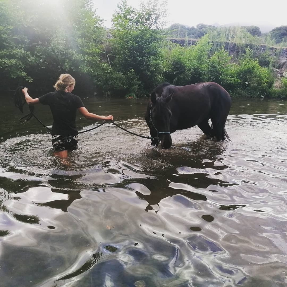  Passeggiata a cavallo a San Giuliano 