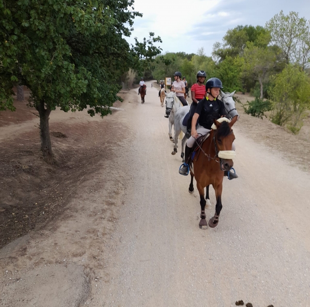  Passeggiata a cavallo tra boschi e vigneti