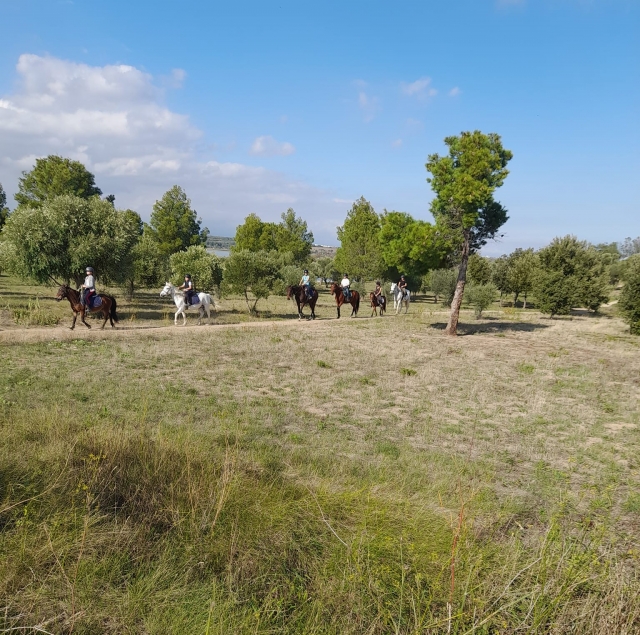 Godetevi una passeggiata a cavallo a pochi minuti da Perpignan 