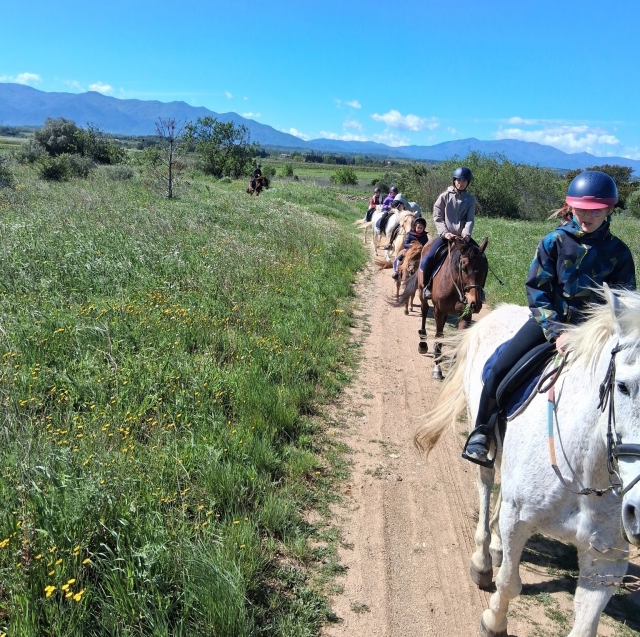 Passeggiata a cavallo nelle Vignes-verso Perpignan-1 ora