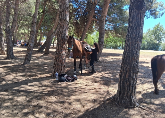  Pausa all'ombra degli alberi 