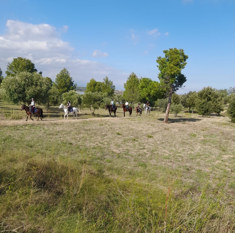 Godetevi una passeggiata a cavallo a pochi minuti da Perpignan 