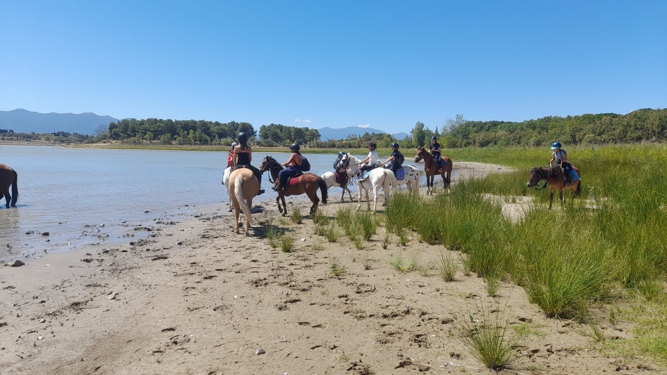  Scopri il lago di Villeneuve-de-la-Raho durante una passeggiata a cavallo 