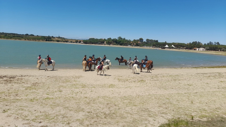  Fai una passeggiata a cavallo a Villeneuve-de-la-Raho 