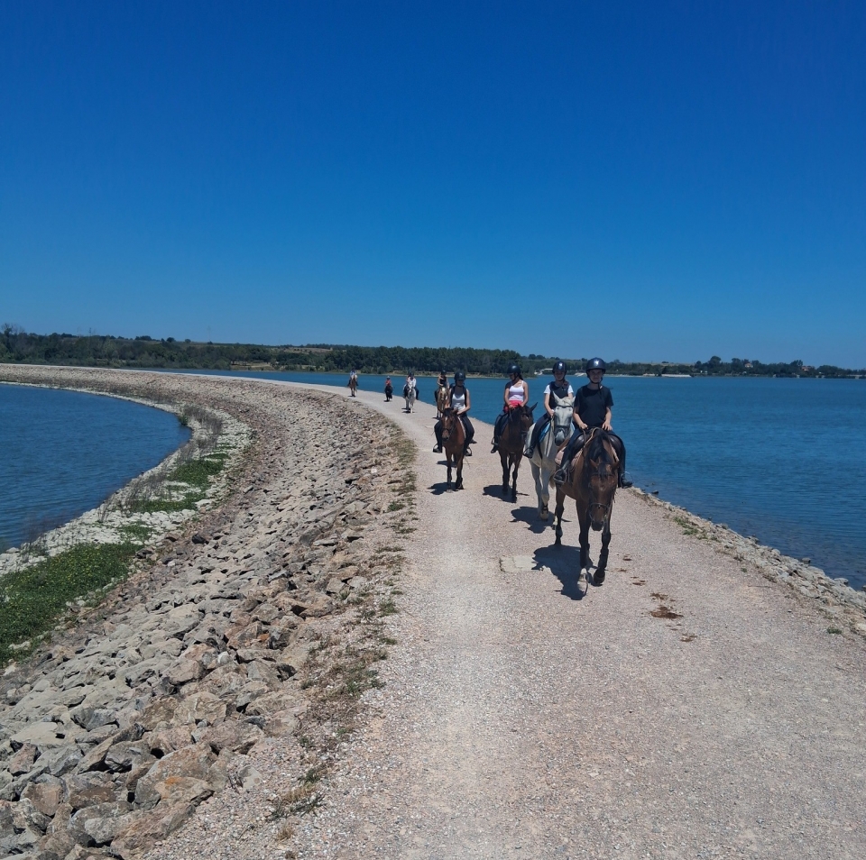  Trovaci vicino a Perpignan 