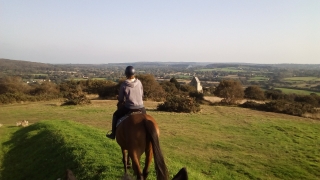 Passeggiata a cavallo nel Cotentin - Campagna - 1h30