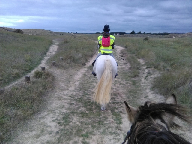 Muovi i primi passi a cavallo 