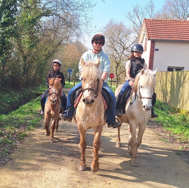  Prenota la tua passeggiata a cavallo nella Manica 