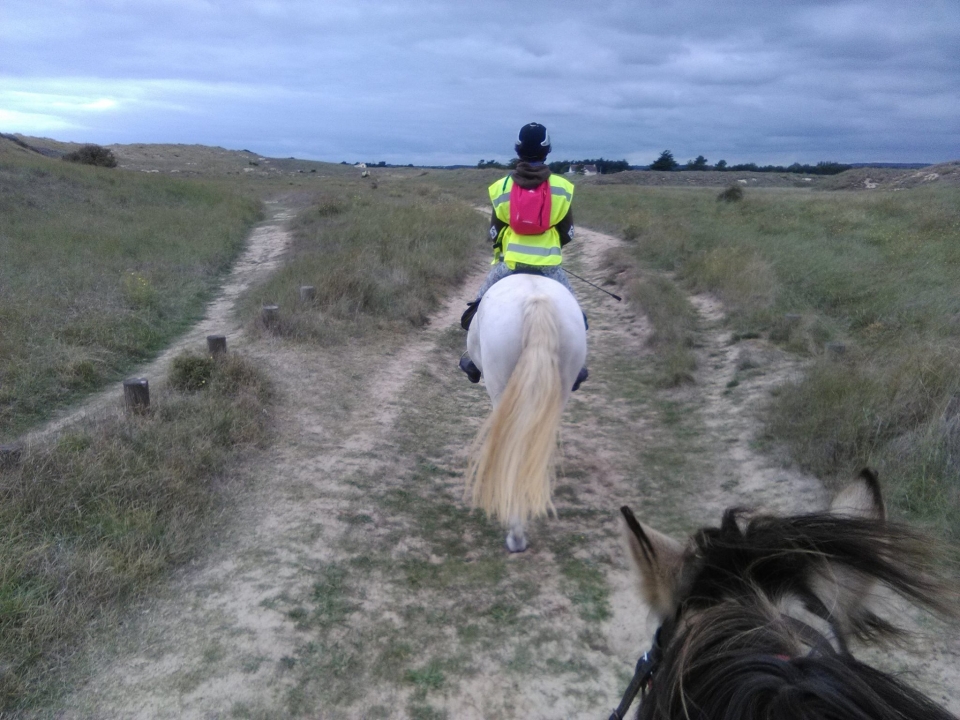 Muovi i primi passi a cavallo 