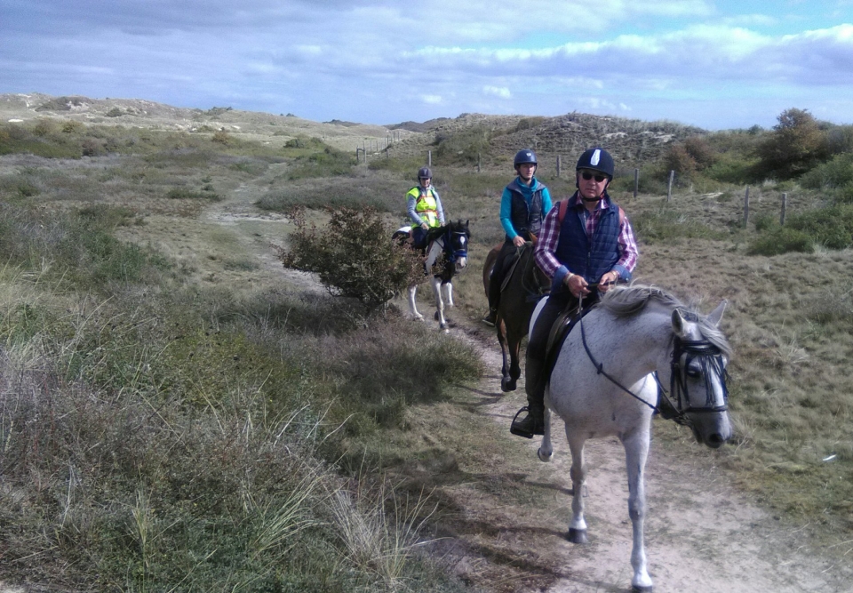  Passeggiata a cavallo nel Cotentin 