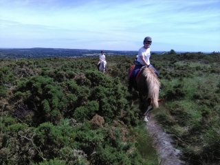 Passeggiata a cavallo nel Cotentin - Panorama - 2h