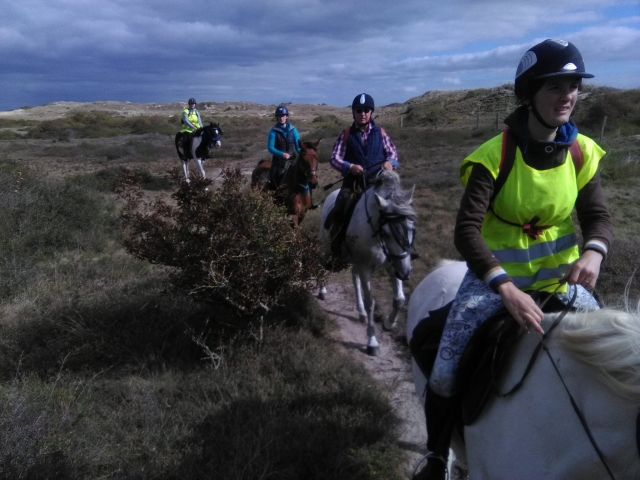 Passeggiate a cavallo nel nord della Francia 