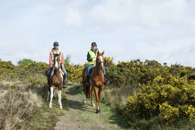  Goditi un momento magico di equitazione a Bolleville